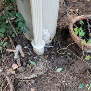 צינור ניקוז גשם מחובר לקרקע ליד צמחייה