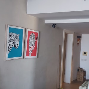 שני ציורים של נמרים על קיר לבן