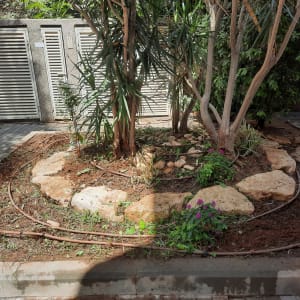 צינורות השקיה, אבנים ועצים בגינה קטנה