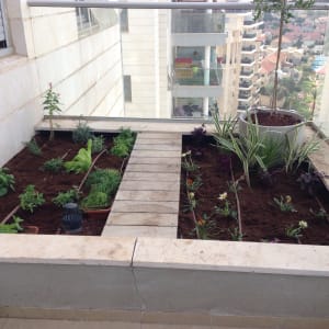 גינת ירק עם צינורות השקיה וצמחים שונים