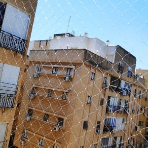 רשת למניעת כניסת יונים על רקע בניינים