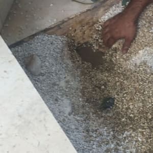 יד של אדם חופרת באדמה עם חצץ