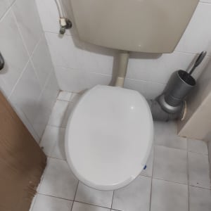 אסלה עם מברשת ניקוי בצד