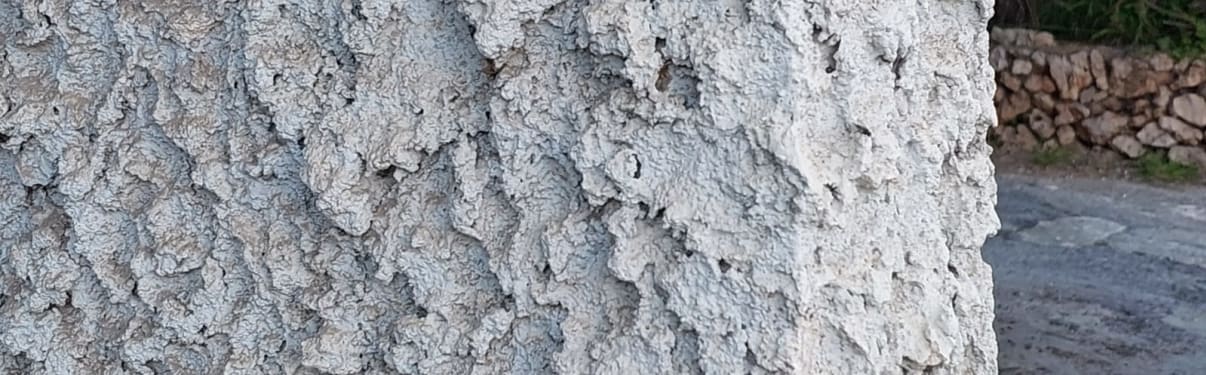 צביעת קיר חיצוני שפריץ