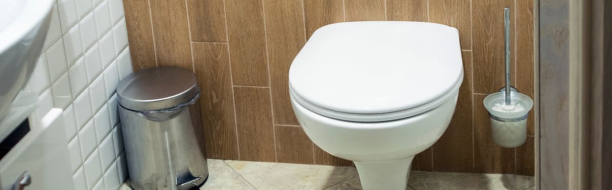 ניאגרה סמויה | אסלה תלויה