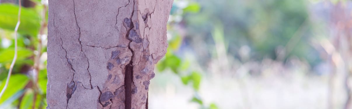 עמוד בטון מתפורר בבניין מסוכן