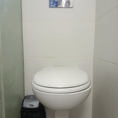 אסלה תלויה עם לחצן הדחה על קיר לבן