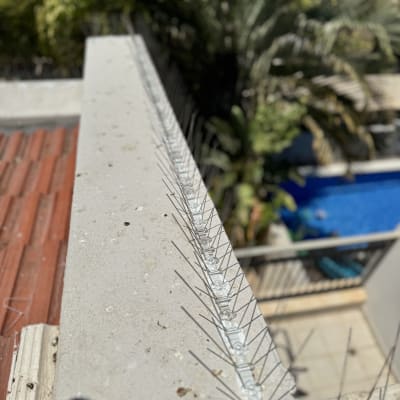 דוקרנים על גג למניעת ציפורים