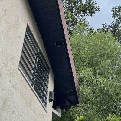 גג בית עם חלון וסורגים, עצים ברקע