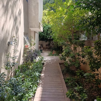 שביל עץ מוקף בצמחייה ירוקה ליד בניין