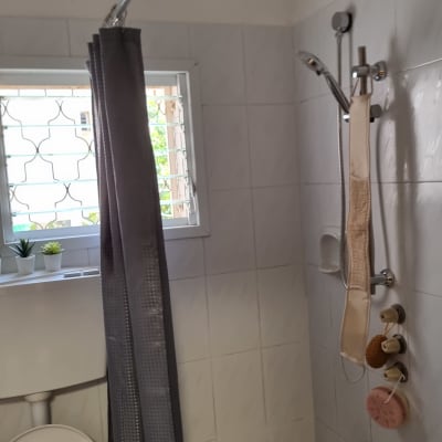 חדר אמבטיה עם וילון מקלחת, ראש מקלחת ואסלה