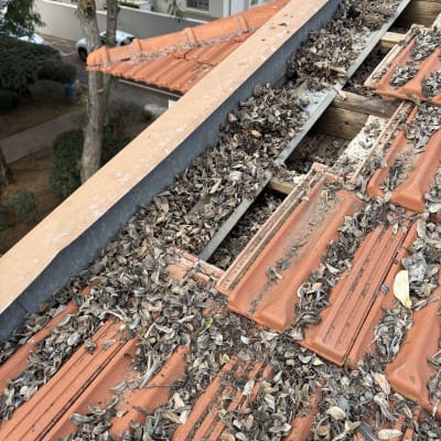 גג רעפים עם עלים יבשים ואבק