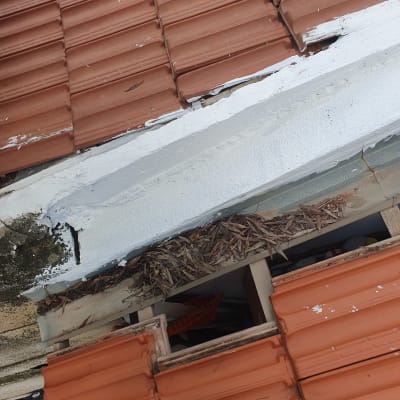 רעפים כתומים על גג עם עלים יבשים וסדקים