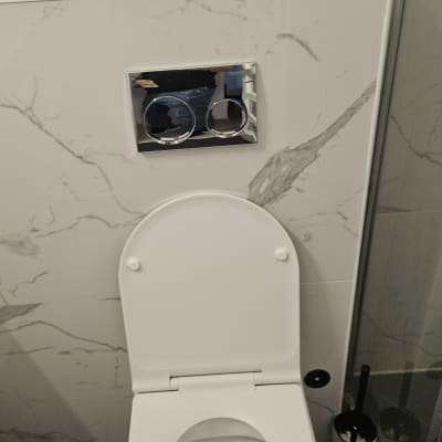 אסלה עם לחצן הדחה ומברשת ניקוי בשירותים מודרניים