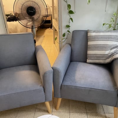 שני כורסאות אפורות עם כריות, צמח מטפס ליד החלון