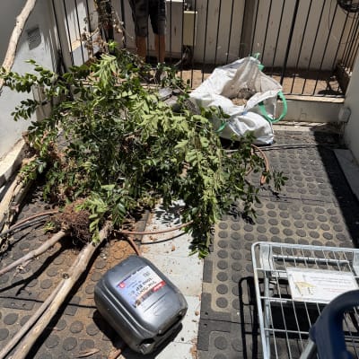 ענפים וכלים על רצפת מרפסת עם אדם ברקע