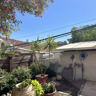 גינה עם עציצים וצמחים שונים, צינור מים על הקיר