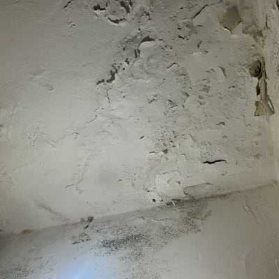 תקרה מתקלפת עם עובש ונורה דולקת