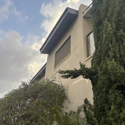 גג בית עם צמחייה ועצים מסביב