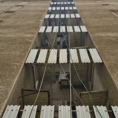 רשת מתכת מותקנת על קיר בניין למניעת יונים