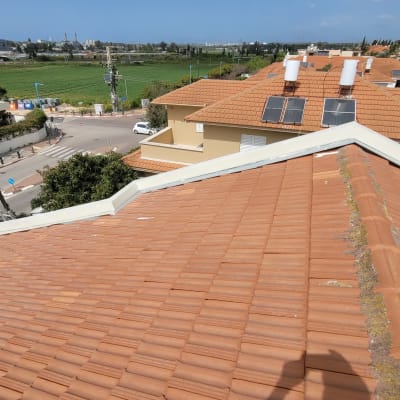 גג רעפים חום עם קצה לבן וכתמים ירוקים