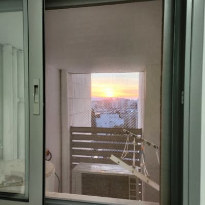 רשת על חלון למניעת כניסת יונים