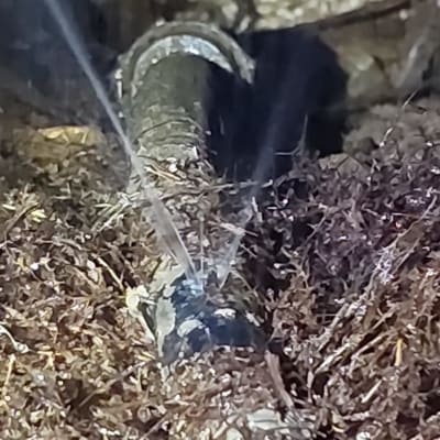 דליפת מים מצינור בקרקע עם סביבה לחה