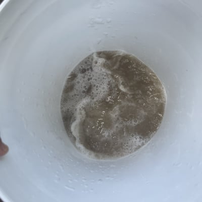 דלי עם מים מלוכלכים לאחר ניקוי ספות