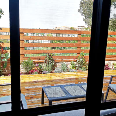 גינה עם צמחים ופרחים ליד גדר עץ