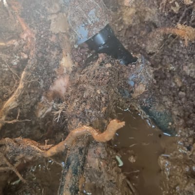 צינור שבור באדמה עם מים ובוץ