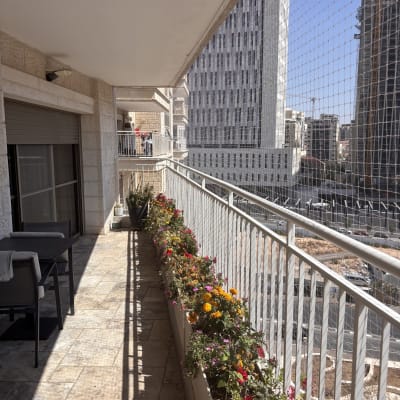 מרפסת עם רשת למניעת יונים וצמחי נוי
