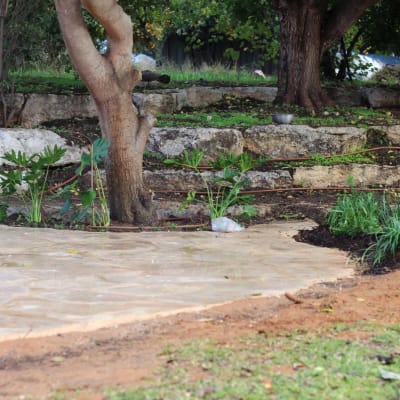 צינורות השקיה, צמחים ירוקים, עצים ואדמה בגינה