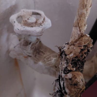 ברז חלוד עם צינור מכוסה בלכלוך