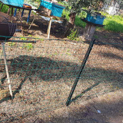 גדר רשת ירוקה עם מסגרת מתכת בגינה