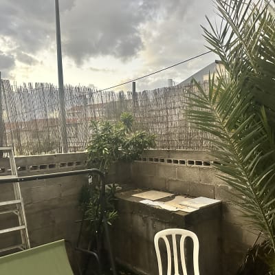 סולם וגדר במרפסת עם צמחייה