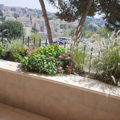 צמחים ופרחים במרפסת עם נוף עירוני ברקע