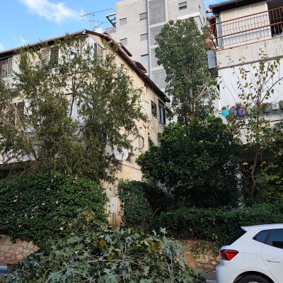 ערימת ענפים גזומים ליד בניין מגורים