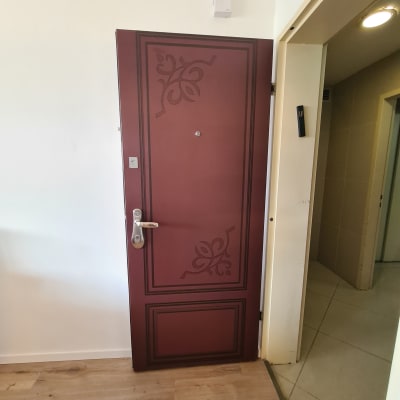 דלת חומה עם עיטורים ודוגמה גיאומטרית