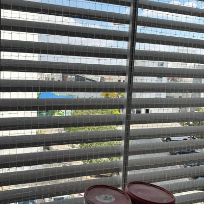 רשת על חלון עם דליים צבע