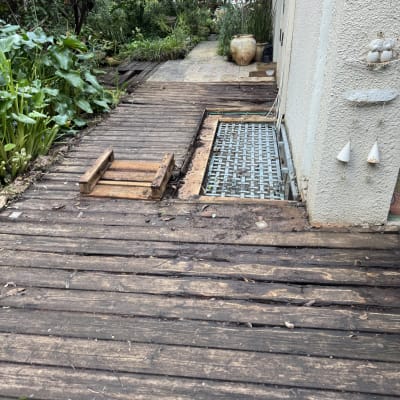 שביל עץ בגינה עם צמחייה מסביב