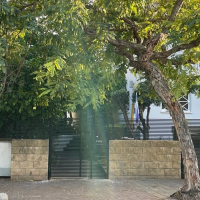 שער מתכת שחור עם קיר אבן ועץ גדול