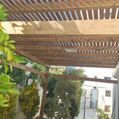 פרגולה מעץ בחצר עם צמחים מסביב