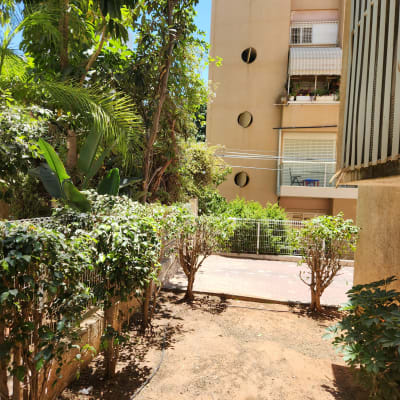 שיחים וגדר בגינה עם צינור השקיה על הקרקע