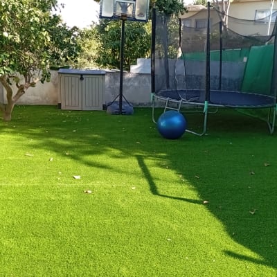 עץ לימון על דשא סינתטי בגינה