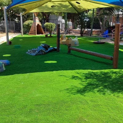 דשא סינתטי עם צלייה, עצים ושיחים מסביב