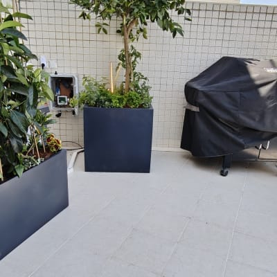 עציצים עם צמחים ירוקים על מרפסת מרוצפת