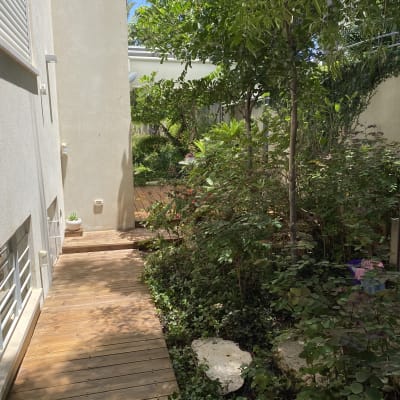 שביל עץ בגינה עם צמחייה ירוקה ועצים