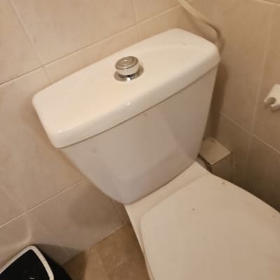 אסלה עם מיכל הדחה ולחצן עגול