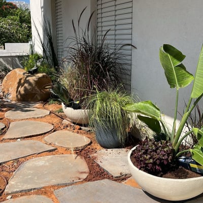 עציצים עם צמחים שונים בשביל גינה מרוצף באבנים