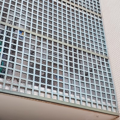 רשת מתכת על חלון למניעת כניסת יונים